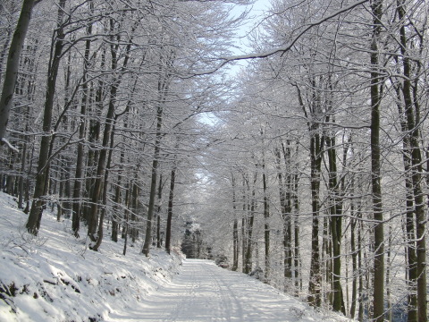Der Winter vor der Haustür: Heute an der Himmelskrone (foto: zoom)