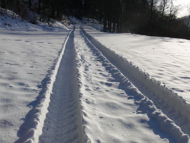 Fahrzeugspuren im Schnee bieten die Chance, im Wald zu joggen (foto: zoom)