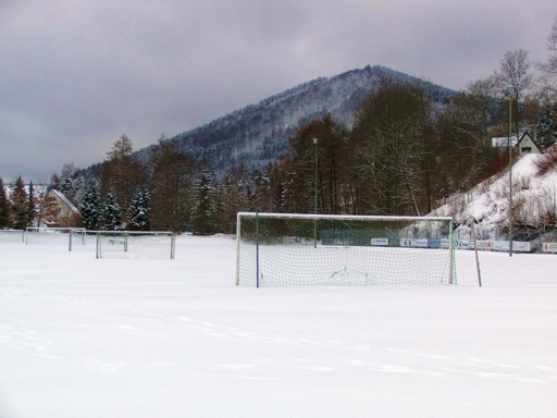 So viele Tore und kein Ball. Unbespielbar. (foto: zoom)