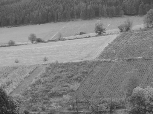 Welche Flächen im HSK sind belastet? Keine konkrete Antwort (foto: zoom)