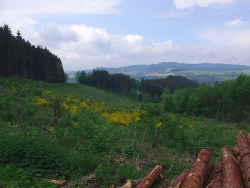 Die Idylle trügt. Viele Flächen im Hochsauerland sind kontaminiert. (foto: zoom)