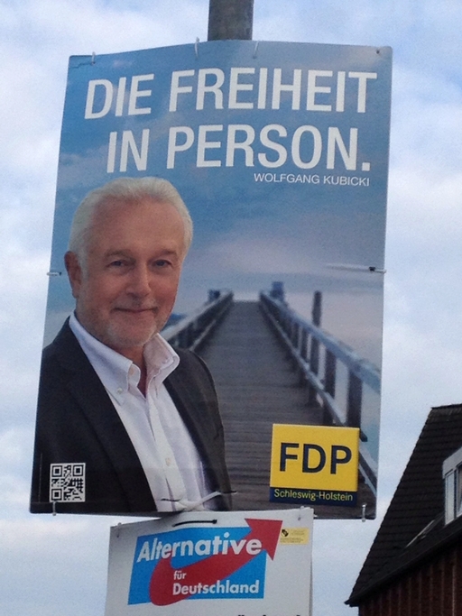 FDP und AfD