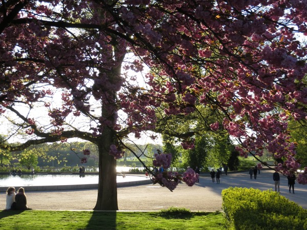 Der Hamburger Stadtpark am 1. Mai 2015 (foto: zoom)