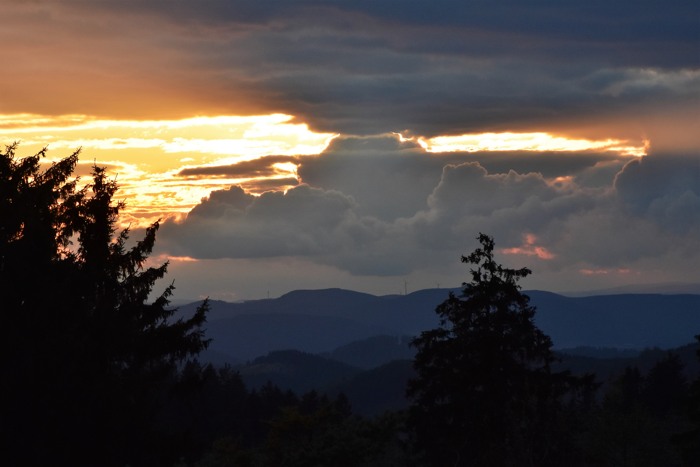 Herbstabend auf dem Kahlen Asten. (foto: zoom)