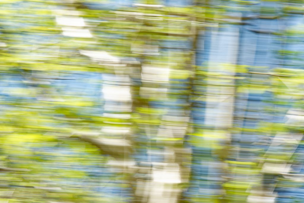 Hellgrüne, hellblaue und weiße Strukturen auf einem verwischt (Kamera von links nach rechts gezogen) mit langer Belichtungszeit aufgenommenen Bild. Ein Wald? Ein Spiegelbild im See?