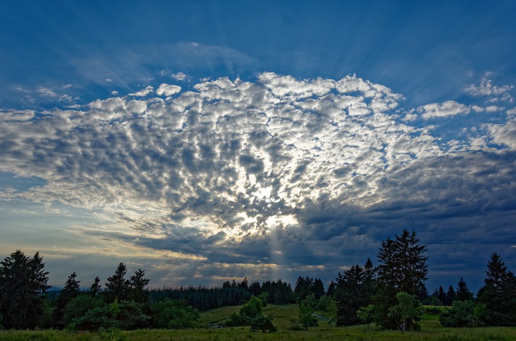 Dtramatisch anmutender Wolkenfächer vor blauem Himmel auf dem Kahlen Asten. Unten eine Baumreihe auf der grünen Heidelandschaft. Hinter den Wolken geht die Sonne unter.